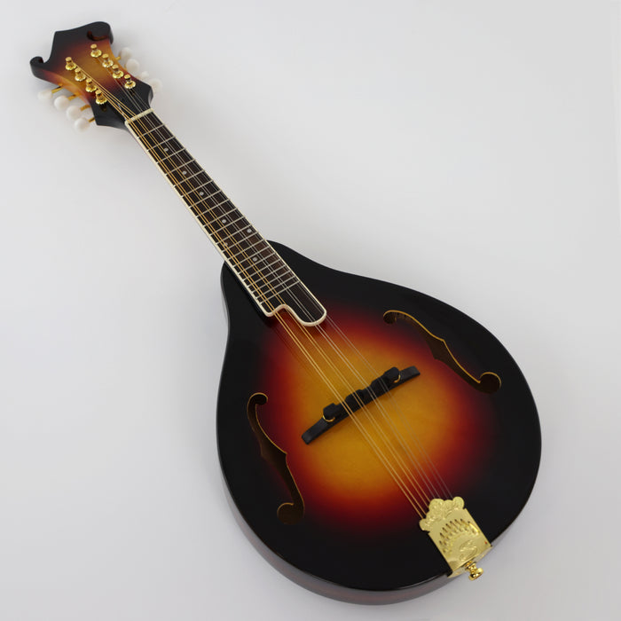 All Solid Wood A Mandolin (PMA-003, Shanghai Music Show Sample)