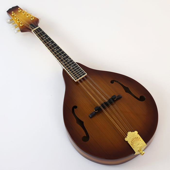 All Solid Wood A Mandolin (PMA-005, Shanghai Music Show Sample)