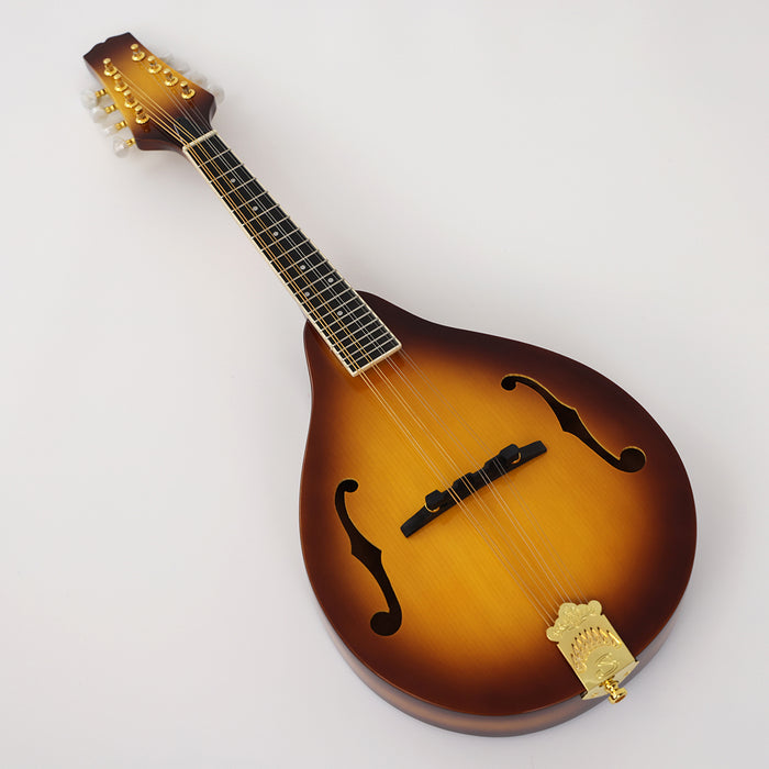 All Solid Wood A Mandolin (PMA-011, Shanghai Music Show Sample)