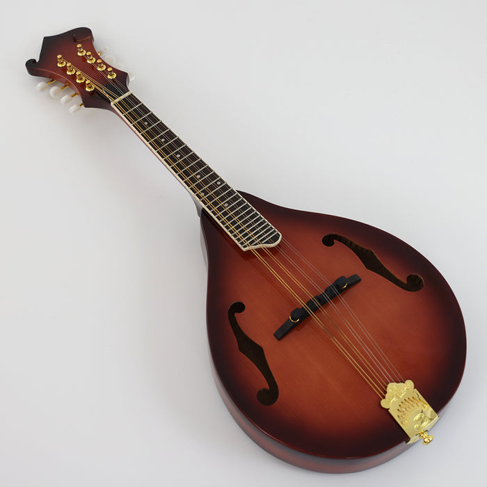 All Solid Wood A Mandolin (PMA-015S, Shanghai Music Show Sample)