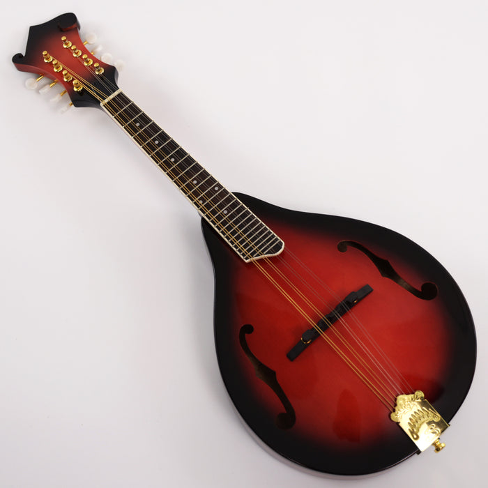 All Solid Wood A Mandolin (PMA-018S, Shanghai Music Show Sample)