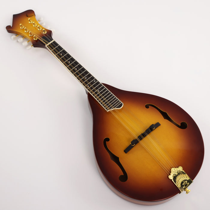 All Solid Wood A Mandolin (PMA-018, Shanghai Music Show Sample)