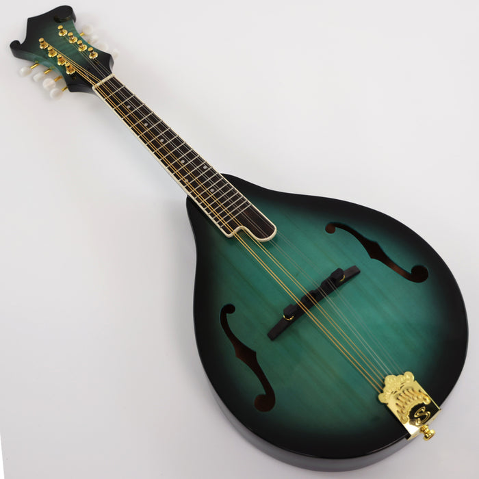 All Solid Wood A Mandolin (PMA-020, Shanghai Music Show Sample)