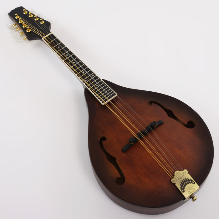 All Solid Wood A Mandolin (PMA-023, Shanghai Music Show Sample)