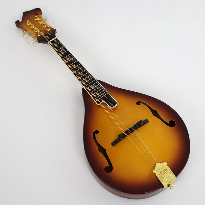 All Solid Wood A Mandolin (PMA-025, Shanghai Music Show Sample)