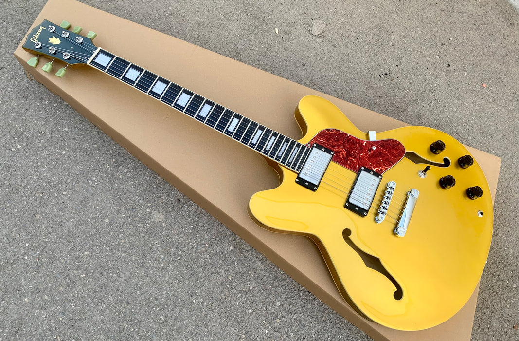 PANGO Music Semi Hollow Body Electric Guitar (YMZ-143)